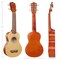 Ashthorpe Soprano Ukulele for Beginners, 21-inch 4 String Uke Starter Bundle Kit for Kids with Gig Bag, Cloth, and Picks